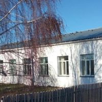 МБОУ Новониколаевская СОШ Купинского района