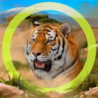 Эти чудесные животные