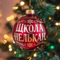 МКОУ СОШ с. Нелькан