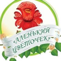 Сообщество МБДОУ детский сад № 17 "Аленький цветочек"