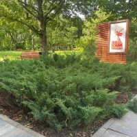 Геронтологический центр Санкт-Петербург