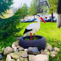 Роддом Кострома