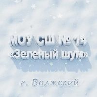 МОУ СШ № 14 «Зелёный шум»