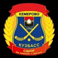 МБУДО "СШОР по хоккею с мячом"