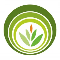 МАУ ДПО "ЦРО", Братск