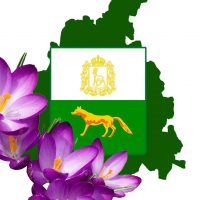 Администрация Сергиевского района