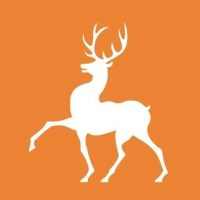 ГБУ Борский ПНИ