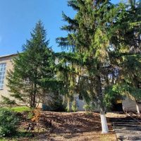 МБОУ ДО ДЮСШ р.п. Инжавино