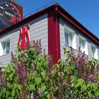 ДШИ № 2 имени А.А. Цыганкова г.Омска