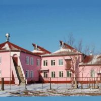 ГАУ АО "Дмитриевский СРЦН"