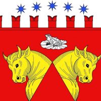 Местная администрация МО Звездное