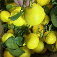 Позиционирование  Стратегия  Коммуникации