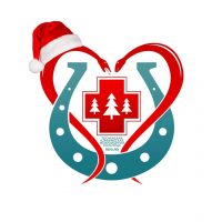 ГБУЗ ЛО "Тосненская КМБ"