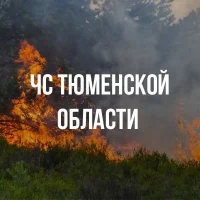 Департамент гражданской защиты и пожарной безопасности Тюменской области