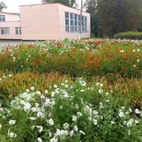 МБОУ "Куракинсая средняя общеобразовательная школа"