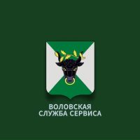 МУНИЦИПАЛЬНОЕ КАЗЕННОЕ УЧРЕЖДЕНИЕ "ВОЛОВСКАЯ СЛУЖБА СЕРВИСА" МУНИЦИПАЛЬНОГО ОБРАЗОВАНИЯ ВОЛОВСКИЙ РАЙОН