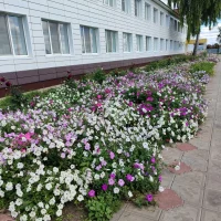 МБДОУ "Адав-Тулумбаевский детский сад №6 БМР РТ"