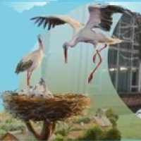 МБДОУ "Детский сад № 30 "Аист" город Смоленск