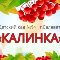 МАДОУ 54 г Салавата