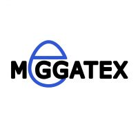 ГБОУ Республики Марий Эл Лицей «Мегатех»