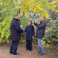 «Дубовские вести»