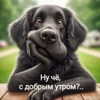 ЮМОР В КАРТИНКАХ!