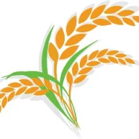 МБДОУ Чистопольский детский сад "Колосок"