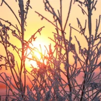 Таймыр-сердце Арктики