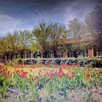 МКОУ СОШ 9 с.Родниковского