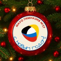 МАОУ гимназия №37