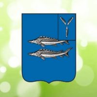 Хвалынский район