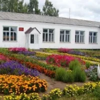 МОУ "Чистостемская ООШ"