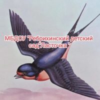 МБДОУ "Ребрихинский детский сад "Ласточка"