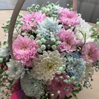 МБДОУ "Детский сад № 15" Торжок