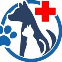 ГБУ АО "Черноярская райветстанция"