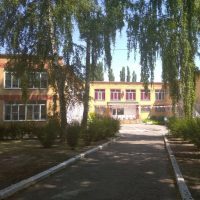 МБДОУ "Детский сад комбинированного вида 95"