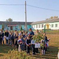 МБОУ "Витовская ООШ им. А. Е. Зубцова"