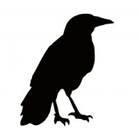 Анна Грай-Воронец | Автор мистических историй