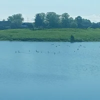 АСП Ялангачевский сельсовет МР Балтачевский район РБ