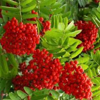 МАДОУ "Детский сад №18" г.Печора