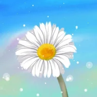 МАДОУ детский сад 2 Ромашка