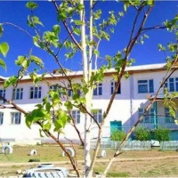 МБОУ "Цолгинская СОШ им. Р. Номтоева"