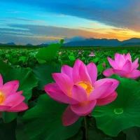 Администрация МО «Раздорский сельсовет»