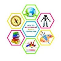 +МБУ ДО Веселовский ЦТ п.Веселый