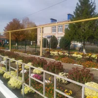 МБДОУ детский сад № 29 "Незабудка"