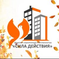 ООО "Сила Действия"