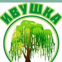 Дошкольное учреждение"ИВУШКА"