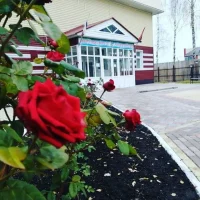 МБО ДО "Буинская детская школа искусств" №1