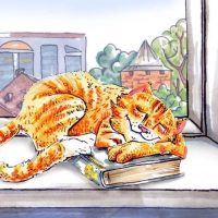 Библиотека "Читай-город"