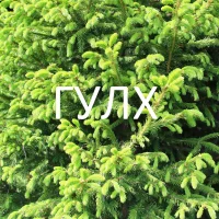 Главное управление лесного хозяйства Омской области